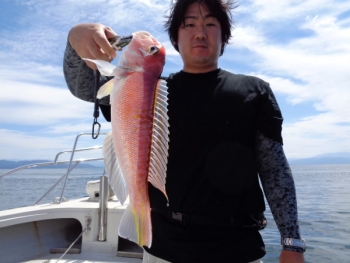 鯛紅丸 釣果