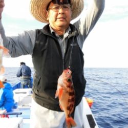 鯛紅丸 釣果