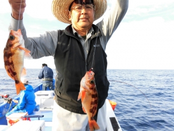 鯛紅丸 釣果