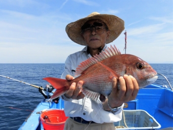 鯛紅丸 釣果