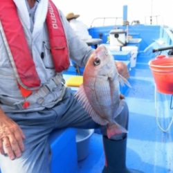 鯛紅丸 釣果