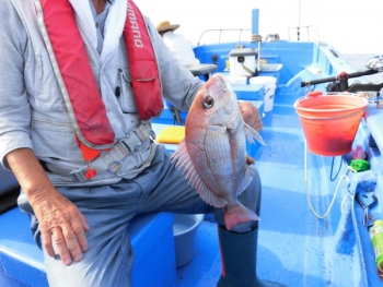 鯛紅丸 釣果