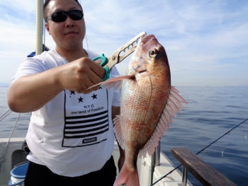 鯛紅丸 釣果