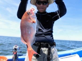 鯛紅丸 釣果