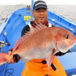 鯛紅丸 釣果