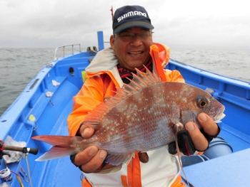 鯛紅丸 釣果