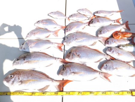 Hit Rush(ヒット ラッシュ） 釣果…