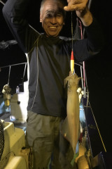 釣船 浦島太郎 釣果