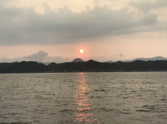 釣船 浦島太郎 釣果