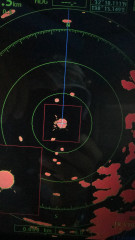 釣船 浦島太郎 釣果