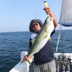 Hit Rush(ヒット ラッシュ) 釣果