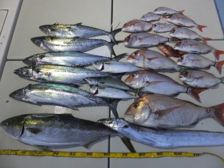 Hit Rush(ヒット ラッシュ） 釣果…