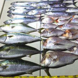 Hit Rush(ヒット ラッシュ) 釣果