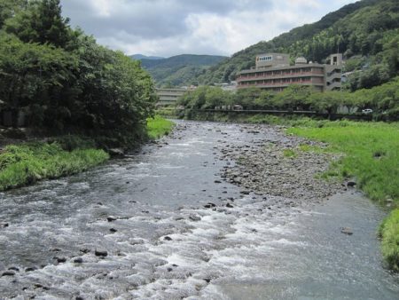 狩野川(狩野川漁業協同組合) 釣果