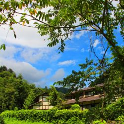 小菅トラウトガーデン 釣果