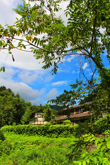 小菅トラウトガーデン 釣果