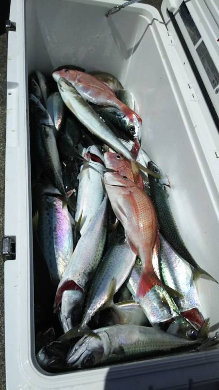 清和丸 釣果
