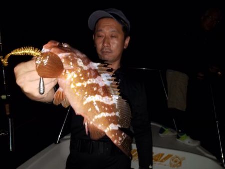 Magic（マジック） 釣果