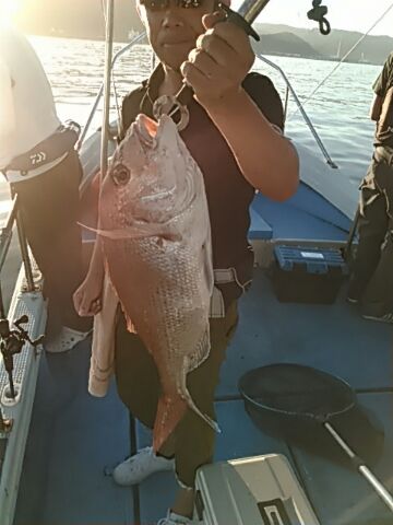 フィッシングガイド りょう 釣果