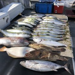 幸風（さちかぜ） 釣果