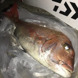 寿裕 （YOSHIHIRO） 釣果