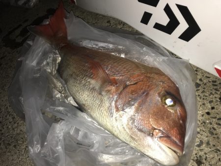 寿裕 （YOSHIHIRO） 釣果