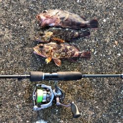 神戸ガシリング5