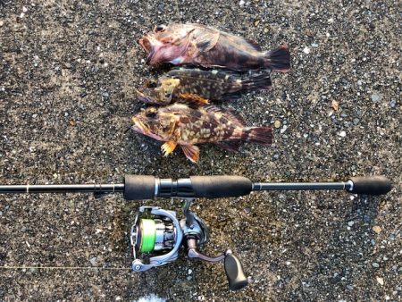 神戸ガシリング5