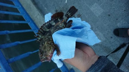 お盆の海遊館裏