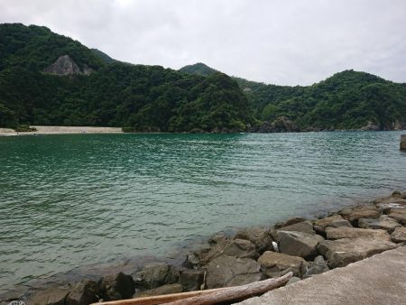 久しぶりのキス釣り