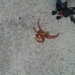 僕の夏休み(パート2)