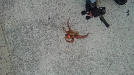 僕の夏休み(パート2)