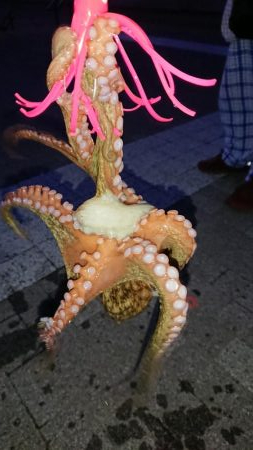 朝まずめオクトパッシング