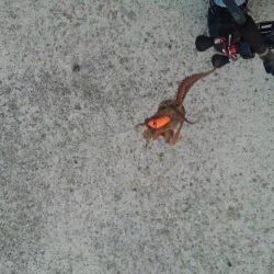 僕の夏休み(パート2)