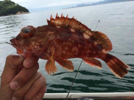 来島海峡で底物狙い