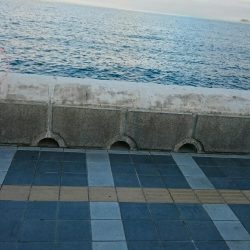 またまた、おちびさん