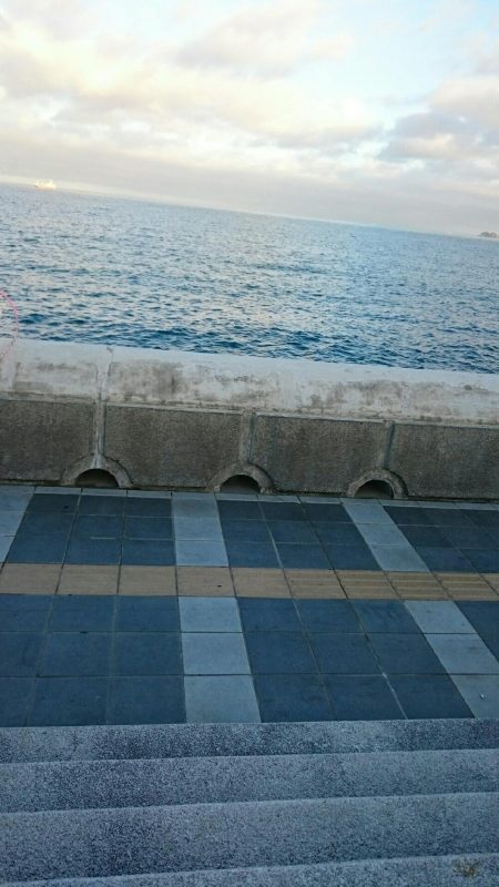 またまた、おちびさん