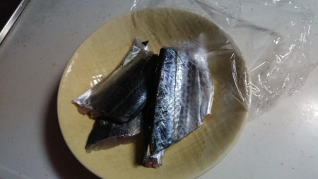 サゴシでもありがたし