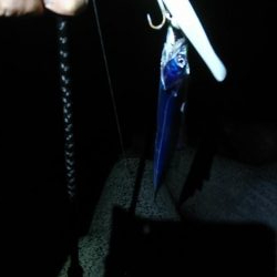 盆休み明けて初LSJ