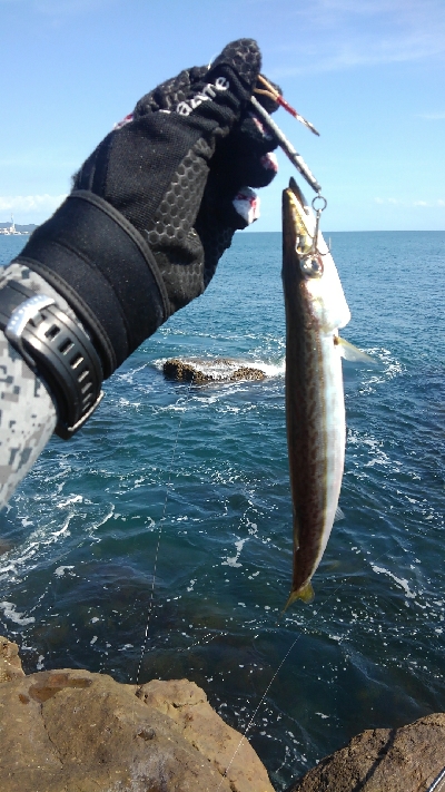 ライトショアジギング