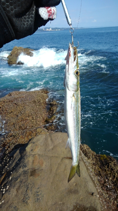 ライトショアジギング