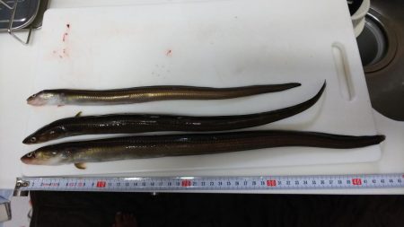 お盆休み最終釣行!