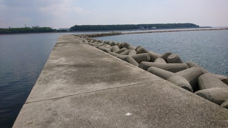 夏キス・・・とハゼ