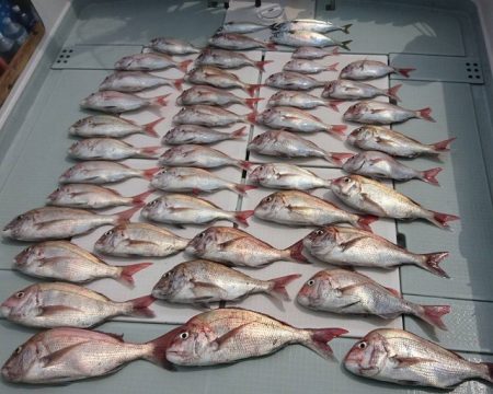 フィッシングボートACE（エース） 釣果