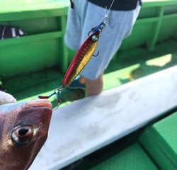 利弥丸（としやまる） 釣果