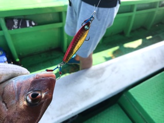 利弥丸（としやまる） 釣果