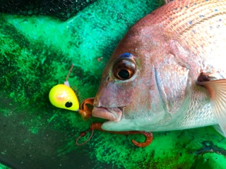 利弥丸（としやまる） 釣果