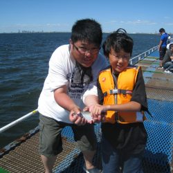オリジナルメーカー海づり公園(市原市海づり施設) 釣果