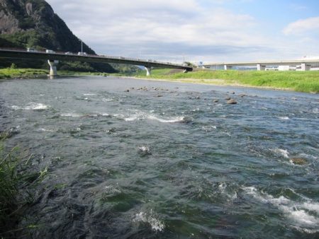 狩野川（狩野川漁業協同組合） 釣果