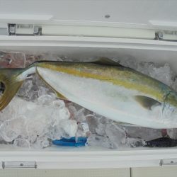 ＨＡＲＵＫＡ丸　はるかまる 釣果